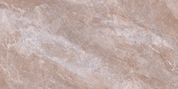 Керамогранит "Wan Sheng" Butterfly (1200*600 мм) Коричневый — купить в Саранске