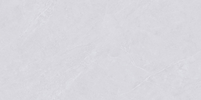 Керамогранит "Wan Sheng" Glazed (1200*600 мм) Серый D12620 — купить в Саранске