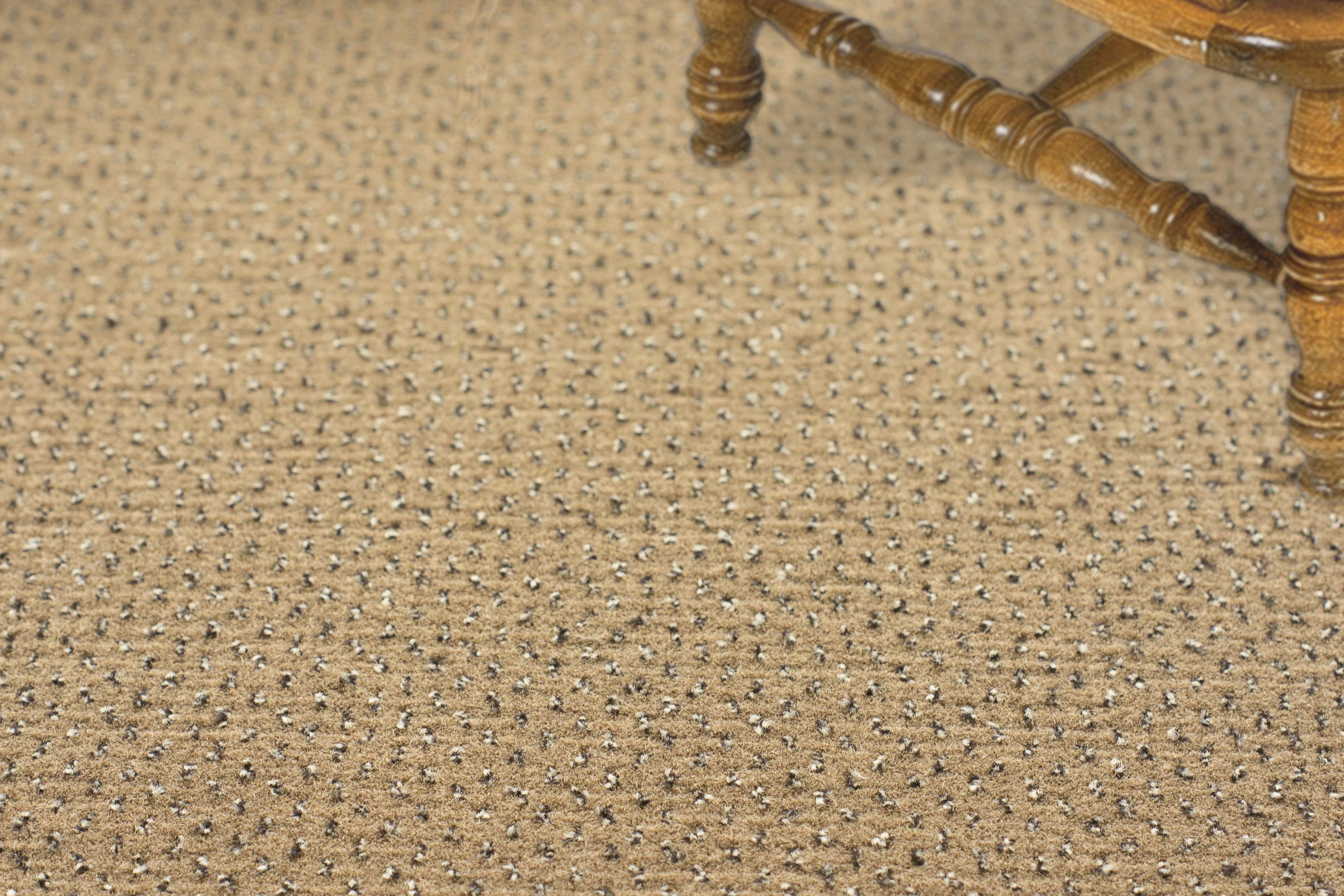 Ковролин "Зартекс" Eternity 142 бежевый (4м) — купить в Саранске